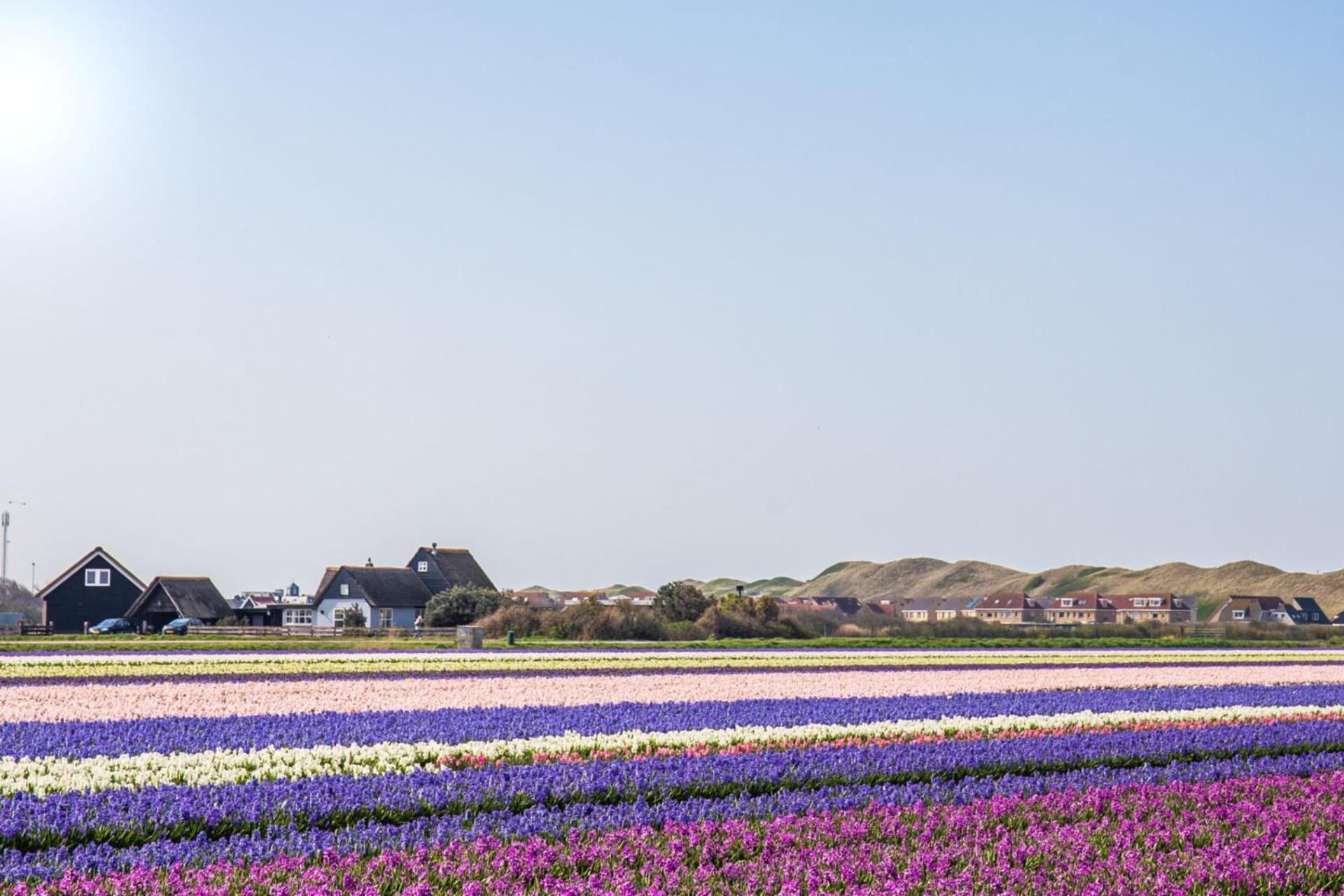 Beach Appartement 27 - Aan De Duinen, Callantsoog Aan Zee Buitenkant foto