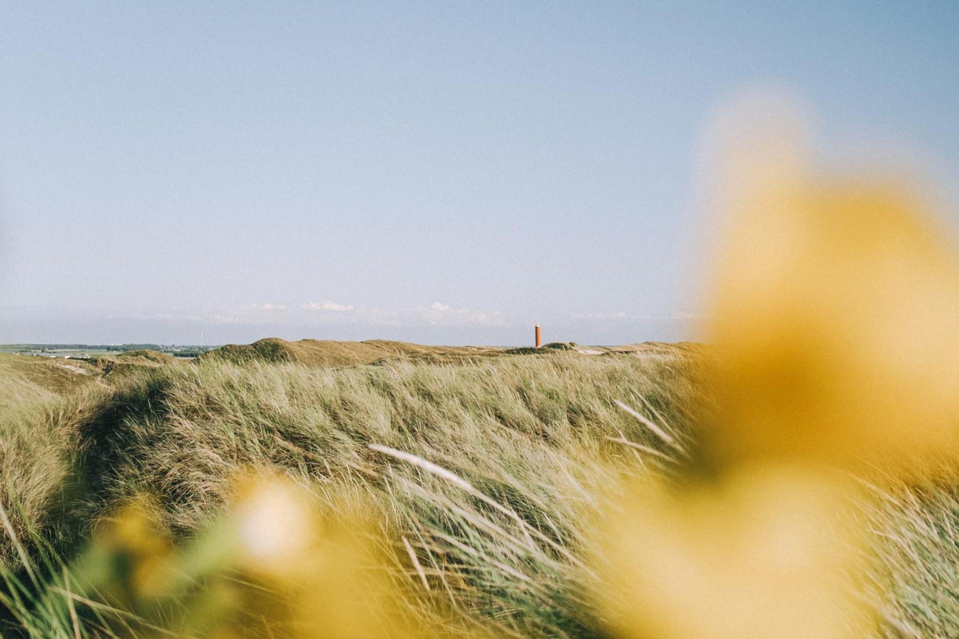 Beach Appartement 27 - Aan De Duinen, Callantsoog Aan Zee Buitenkant foto